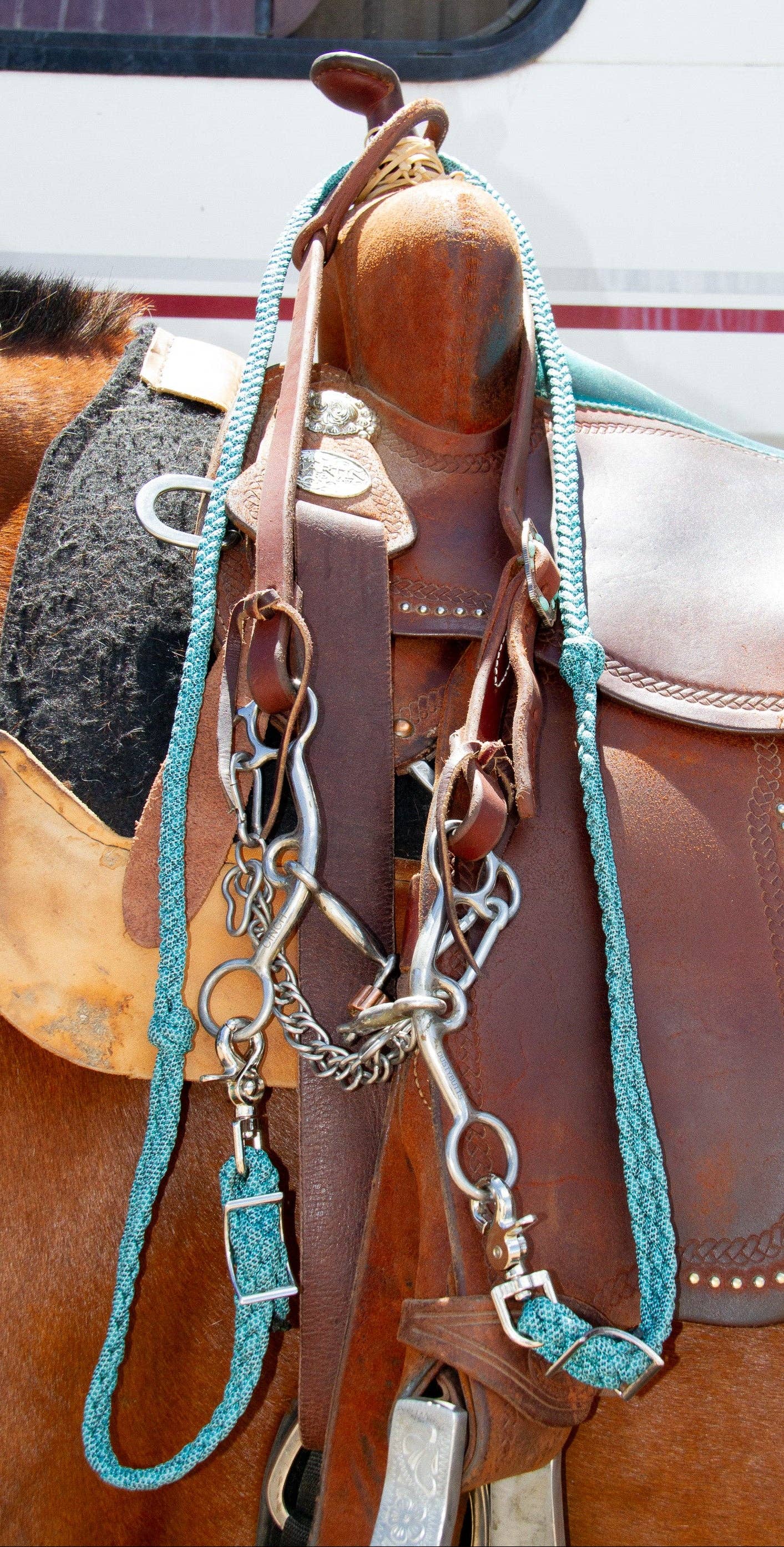 Roping Reins – Pattern Turquoise 3-Strand Nylon Horse Reins by -3H