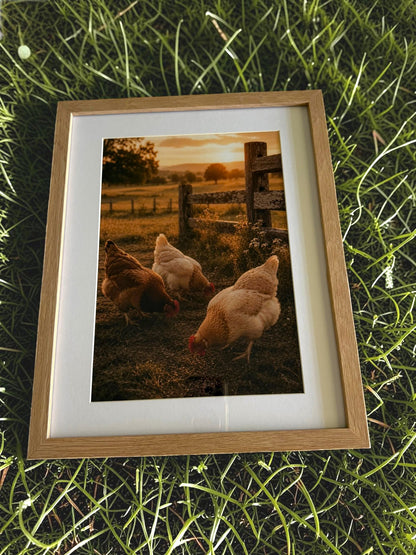 Golden Country Collection Digital Download