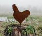 "Rooster at Dawn" garden decor statue, charming rooster figure