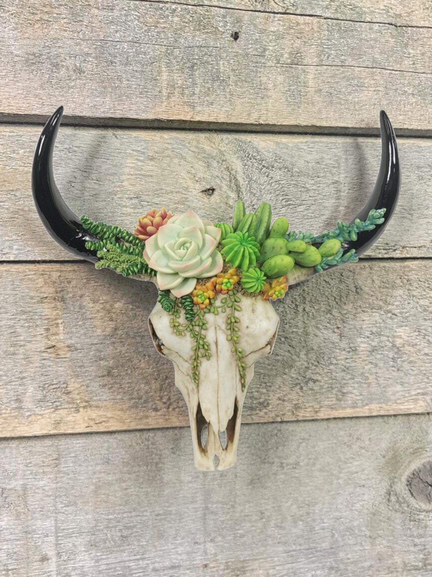 "Desert Rose" Cow Skull Wall Hanger