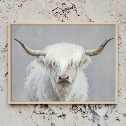 Highland cow country art print, close-up detail