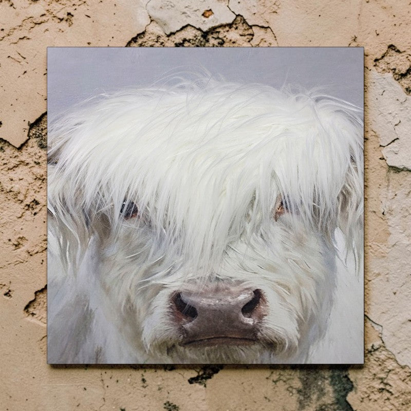 Highland Mist